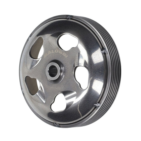 Koppelingsegment Malossi 5217490 – Piaggio Medley 125