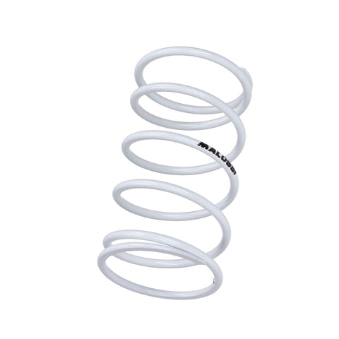 Koppelingsveer Malossi 2912658.w0 wit – Piaggio Liberty 50, Zip 50