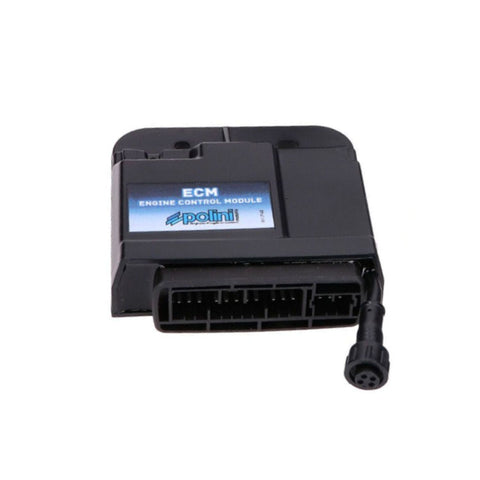 ECU Polini 171.0009 – Piaggio Liberty 50, Zip 50