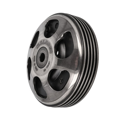 Koppelingsegment Malossi 5214738 – Piaggio Zip 50, Liberty 50