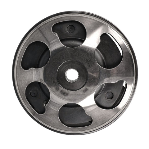 Koppelingsegment Malossi 5214738 – Piaggio Zip 50, Liberty 50
