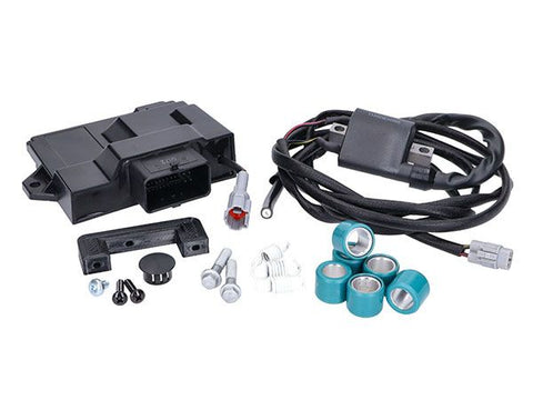 ECU Naraku nk390.65 – Piaggio Liberty 50, Zip 50
