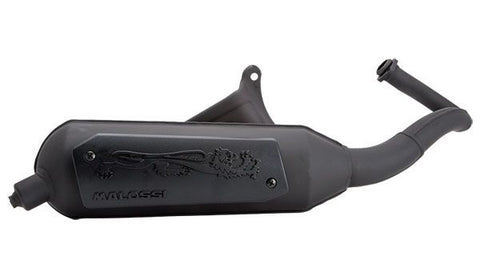 Uitlaat Malossi 3216590 AC Wild Lion – Piaggio Zip 50